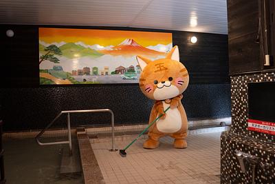 玉ちゃんの詳細情報 | ゆるナビ